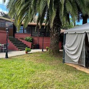 Ceiba España